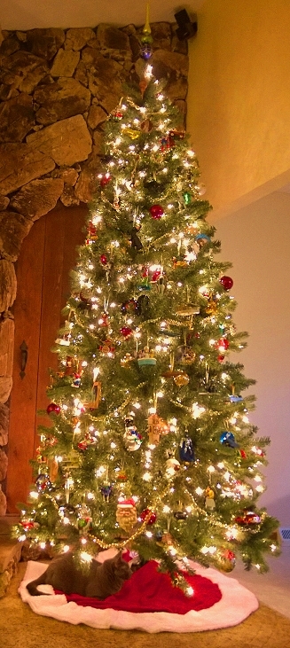 tree4